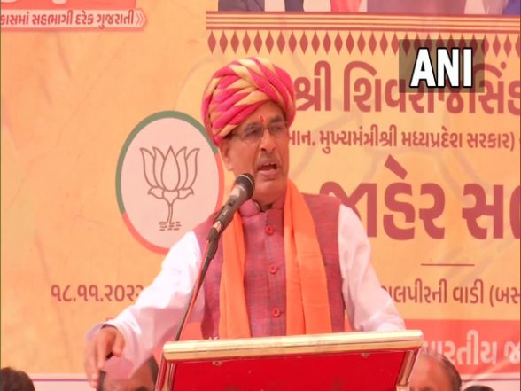 India News | PM Modi is 'kalpavriksha', Kejriwal 'babul Tree', Rahul Gandhi 'shrub': Shivraj Singh Chouhan in Gujarat - Vimarsana News
