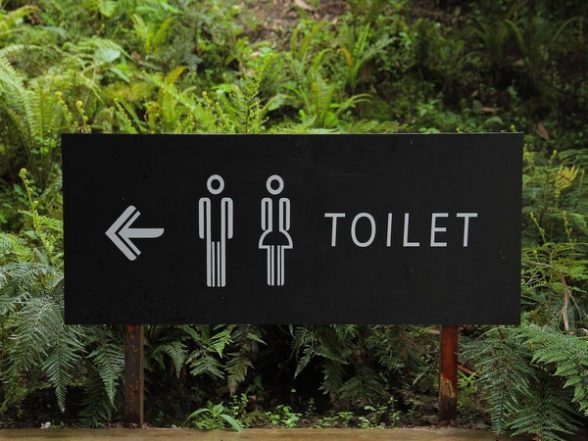 Health News | World Toilet Day 2022: All You Need to Know About This Day! - Vimarsana News