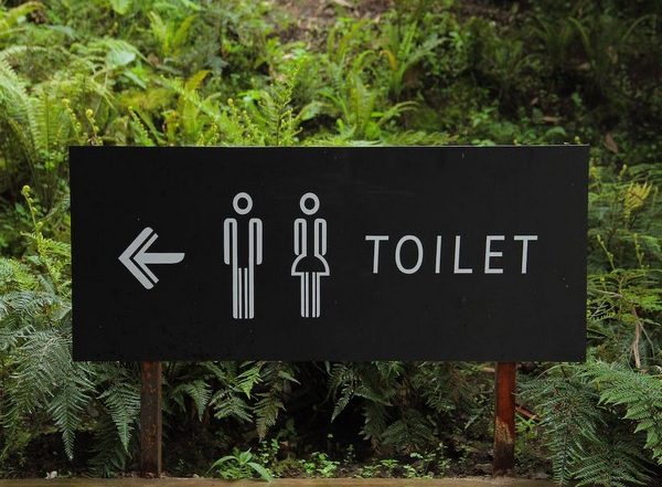 Health News | World Toilet Day 2022: All You Need to Know About This Day!