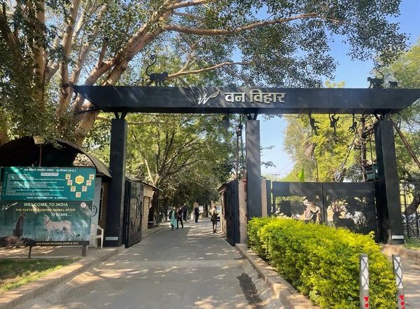 India News | POR Registered Against Two Youths for Disturbing Tigers at Vanvihar National Park in MP
