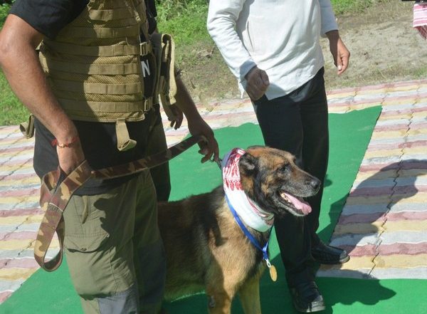 Zorba, K9 Dog Squad Hero With Over 60 Records, Passes Away in Assam