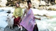 Business News | Pashmina.com Bringing Authenticity to the World of Fake Pashminas