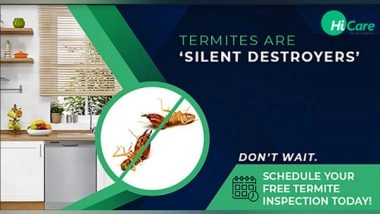 Business News | Protect Your Furniture from Predacious Termites with HiCare's Termite Control