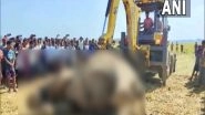 India News | Elephant Carcass Found in Paddy Field in Assam's Goalpara