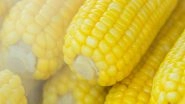 Lifestyle News | Sweet Corn Sweltering in Summer Heat Spells Uncertainty for Corn Lovers: Research