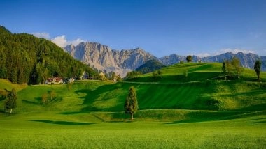 Science News | Grasslands Can Be Managed to Benefit Biodiversity and Soil Health: Study