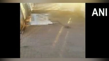 India News | Four People Injured After Slabs of Foot-over Bridge Collapse at Balharshah Station in Maharashtra