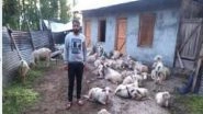 India News | Educated Bandipora Shepherd Uses Scientific Methods to Turn Sheep Farming Profitable