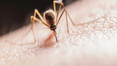 Science News | Mosquitoes Bite Some of Us More Than Others, Here's Why