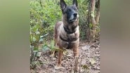 India News | Call of Duty: CRPF Dog Saves Lives After Sniffing out IED in Jharkhand