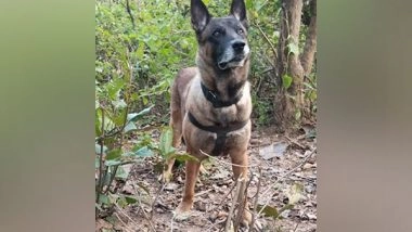 India News | Call of Duty: CRPF Dog Saves Lives After Sniffing out IED in Jharkhand