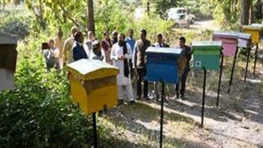 India News | KVIC Distributes over 330 'bee-boxes' Under Re-Hab Project to Village in Uttarakhand