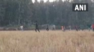 India News | Wild Elephant Chases off People in Assam's Rongjuli