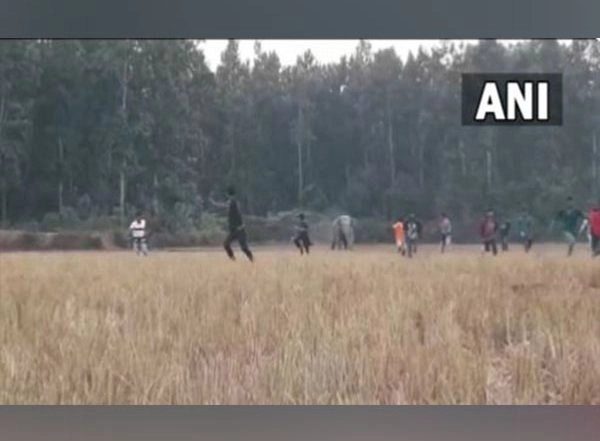 India News | Wild Elephant Chases off People in Assam's Rongjuli