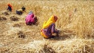 Haryana to Get Award for Best State in Agribusiness on November 9 in Delhi