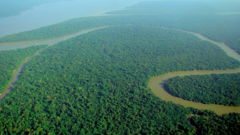 Peru: Indigenous People in Amazon Rainforest Hold Several Tourists Including Britons and Americans Hostage