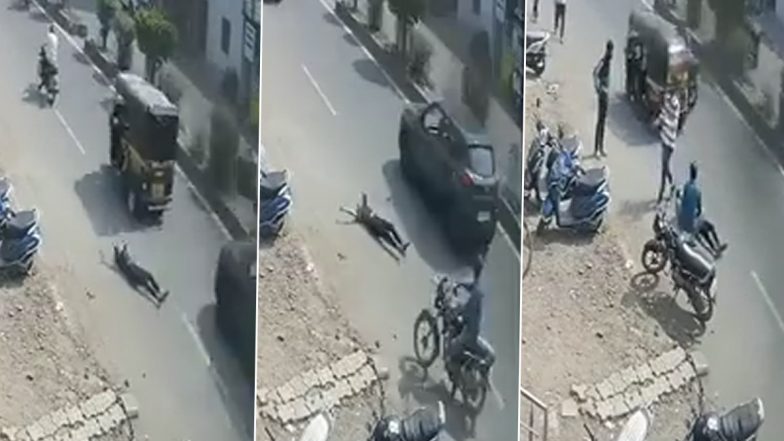 Viral Video: Girl Jumps off Speeding Autorickshaw To Escape Molestation Bid in Aurangabad, Terrifying CCTV Footage Surfaces