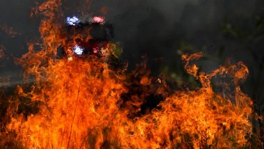 Chile Forest Fire: Massive Wildfire Ravages 3,600 Hectares of Land in Maule Region