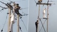 Video: Congress MLA Babu Jandel Climbs Pole, Restores Electricity of Madhya Pradesh Village After Company Cuts Power Connection