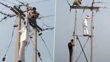 Video: Congress MLA Babu Jandel Climbs Pole, Restores Electricity of Madhya Pradesh Village After Company Cuts Power Connection