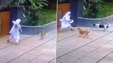 Kerala: Brave Girl Fights Pack of Stray Dogs With Schoolbag, Narrowly Escapes Attack in Kannur Village (Watch Video)