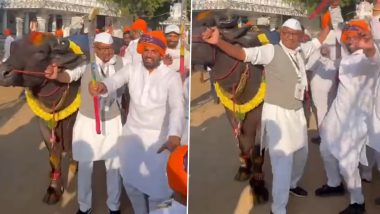 Congress Leader Digvijaya Singh Dances With Buffalo in Telangana, Video Goes Viral