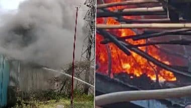 Gujarat Fire: Massive Blaze Erupts at Ganesh Packaging in Daman’s Dabhel Area; 8 Fire Engines Present To Control Fire