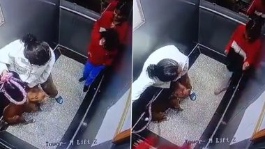 Dog Attack in Noida: Pet Dog Attacks Two Children in Lift of Golden Palm Society in Sector 168, CCTV Video Surfaces (Watch Here)