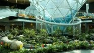 FIFA World Cup 2022: Doha&rsquo;s Main Airport Enhances With More Than 25,000 Plants