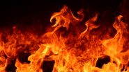 Andhra Pradesh Fire: Massive Blaze Erupts at Amar Raja Factory in Chittoor District (Watch Video)
