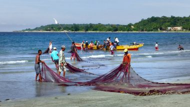 World Fisheries Day 2022: Know Date, History and Significance of the Day That Focuses on Maintaining a Healthy Marine Ecosystem