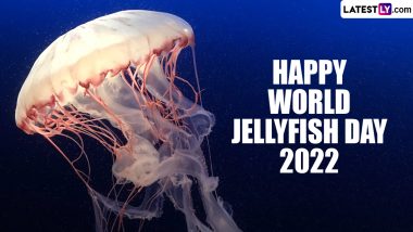World Jellyfish Day 2022 Greetings & Photos: Netizens Share Pictures of the Lovely Invertebrate, Videos, Wishes and Quotes To Celebrate The Mysterious Marine Creature (View Tweets)