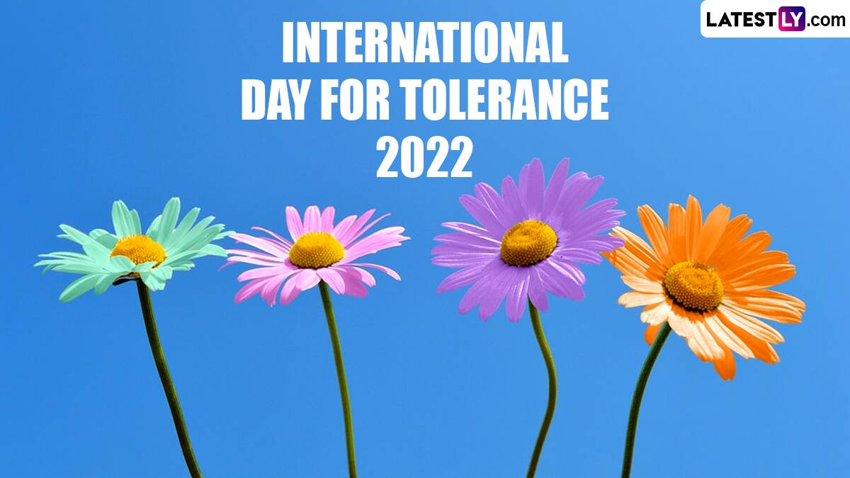 Festivals events news when is international day for tolerance 2022