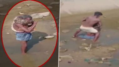 Viral Video: Drunk Man Gets Bitten by Python While Going Fishing in Jharkhand