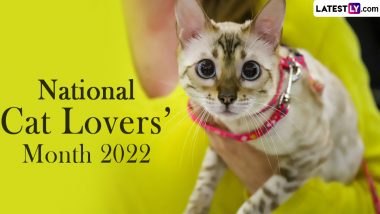 National Cat Lovers Month 2022 Quotes: Share Images, HD Wallpapers and Cute Messages To Show Some Love for Our Furry Friends