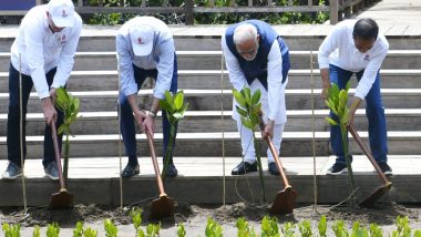 G-20 Summit 2022: PM Narendra Modi Plants Mangroves in Taman Hutan Raya Ngurah Rai Mangrove Forest in Bali (Watch Video)