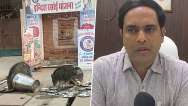 Rajasthan Shocker: Pigs Lick Soiled Utensils Lying Outside Food Centre in Bharatpur; Officials Say Organisers Contract Rescinded