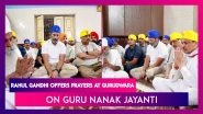 Rahul Gandhi Offers Prayers At A Gurudwara In Nanded, Maharashtra On The Occasion Of Guru Nanak Jayanti