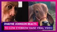Dwayne Johnson, &lsquo;The Rock&rsquo;, Reacts To Cow Eyebrow Raise Viral Video, Says, &lsquo;I Wasn&rsquo;t Expecting That&rsquo;