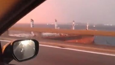 Video: Ship Crashes Into Rio Niterio Bridge in Rio de Janeiro, Dramatic Moment of Boat Hitting Bridge Caught on Camera