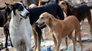Dog Attack in Uttar Pradesh: Small Boy Attacked by Stray Canine While Playing Outside Home; Suffers Grievous Injuries on Face in Banda