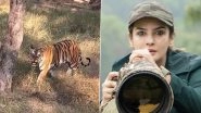 Raveena Tandon Tweets &lsquo;Tigress Katy Is Habituated to Coming Close to Vehicles&rsquo; After Tiger Reserve Launches Probe on Her Safari Video