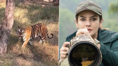 Raveena Tandon Tweets ‘Tigress Katy Is Habituated to Coming Close to Vehicles’ After Tiger Reserve Launches Probe on Her Safari Video