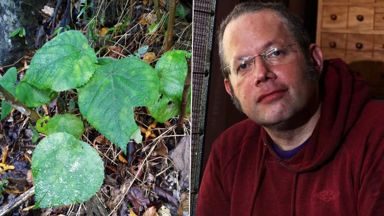 Suicide Plant! British Man Grows Gympie-Gympie, The 'World’s Most Dangerous Shrub' At Home Because He Was Bored (View Pic)