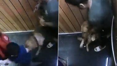 Dog Attack in Noida Again! Pet Dog Attacks, Bites Child Inside Lift of La Residentia Society (Watch Video)