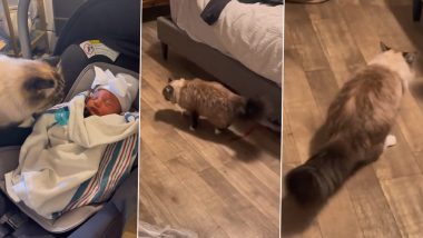 Hilarious! Pet Cat Vomits After Sniffing Newborn Baby in Viral Video That Has Sparked Laugh Riot Online