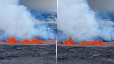 Mauna Loa, World’s Largest Active Volcano in Hawaii, Erupts for First Time in 38 Years, Official Warn People on Big Island To Prepare for Worst-Case Scenario (Video)