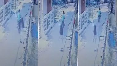 MP Shocker: Bike-Borne Man Makes Obscene Gestures, Molests Girl in Tikamgarh; Booked (Watch Video)