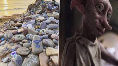 No ‘Sock Up’ Alert! Environmentalists Urge Harry Potter Fans To Not Leave Socks at Dobby’s Memorial Site Due to Increased Chances of Marine Pollution
