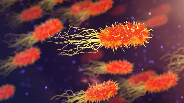 Dr Anthony Fauci Says &lsquo;Responding to Malaria, TB As Crucial as Emerging Health Threats&rsquo;